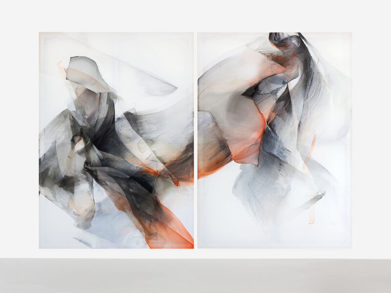 Trans, 2020 | Tusche, Acryl auf Nylon 2-teilig, 250 x 360 cm