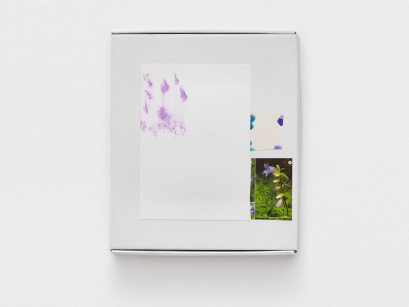 Bluebell Sometimes Paradise, 2022 | Acryl Gesso und Acryl auf Papier und Karton Schachtel, gefundenes Zeitschriftenbild, 31.5 x 25.5 x 3.2 cm