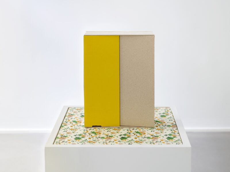 The House, 2019 | cardboard, plinth, foubd fabric, oil on wood, 21.7 x 16 x 6.5 cm, plinth 115 x 30 x 30 cm 