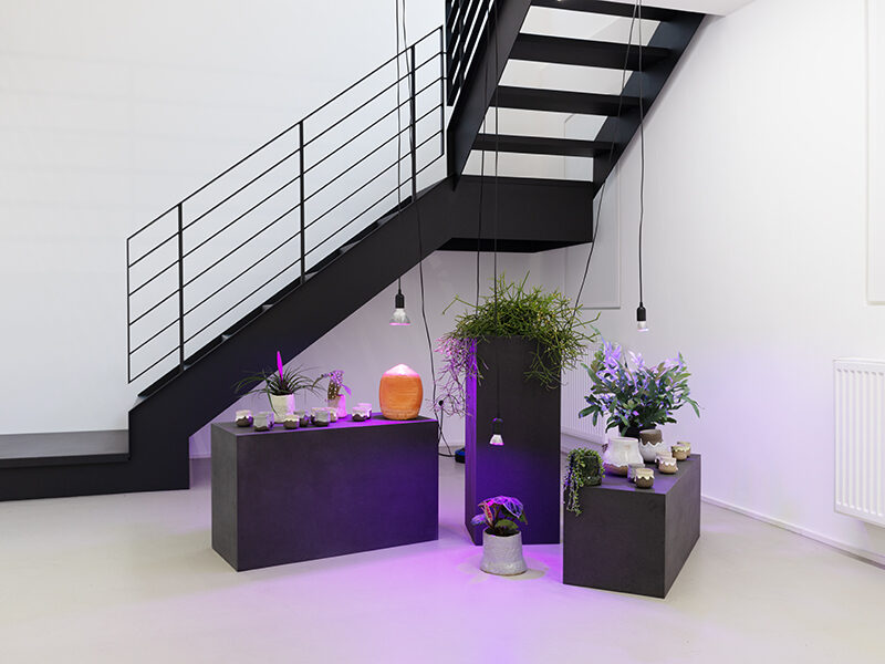 Gailan Ngan | Volumes curated by Lee Plested | 2023 | Galerie Christian Lethert Köln | Skulpturen, Malerei