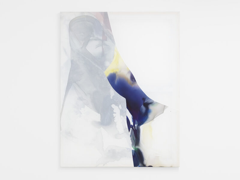 Milkyways V, 2024 | ink, acrylic, oil on nylon, 130 x 100 cm | Natascha Schmitten