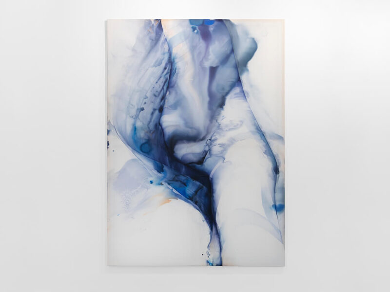 Caustics, 2025 | ink, oil, pigments on nylon, 250 x 180 cm | Natascha Schmitten