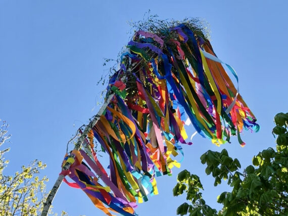 Image of the Month – May 2026: A brightly decorated Maypole against a radiant blue sky.